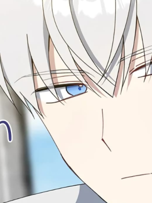 Chapter 68.0