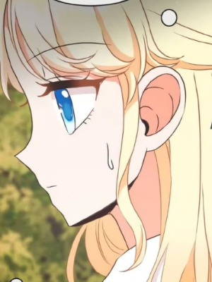 Chapter 95.0