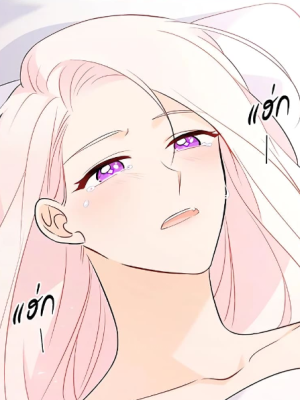 Chapter 40.0