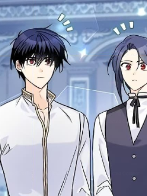 Chapter 119.0