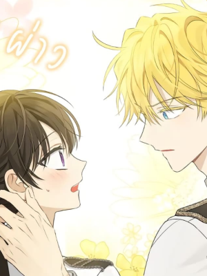 Chapter 88.0