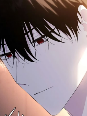 Chapter 110.0