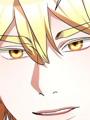 Chapter 19.0
