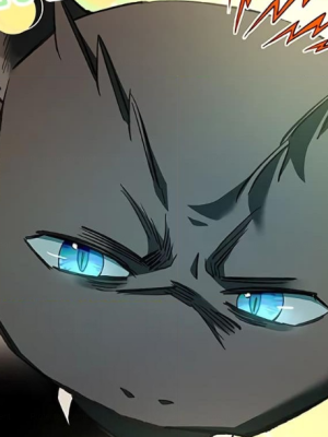 Chapter 65.0