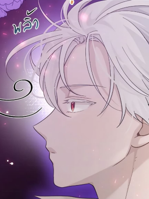 Chapter 24.0
