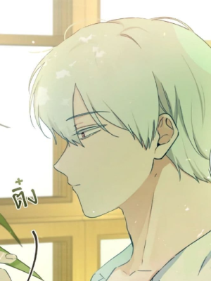 Chapter 41.0
