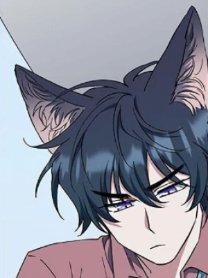 Chapter 44.0