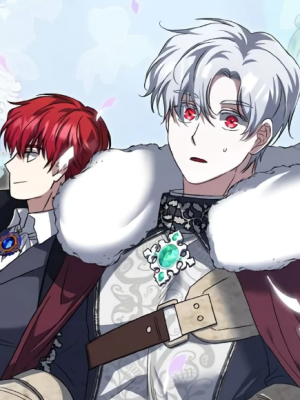Chapter 55.0