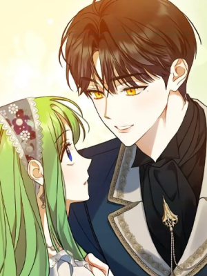 Chapter 50.0