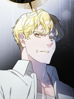 Chapter 68.0