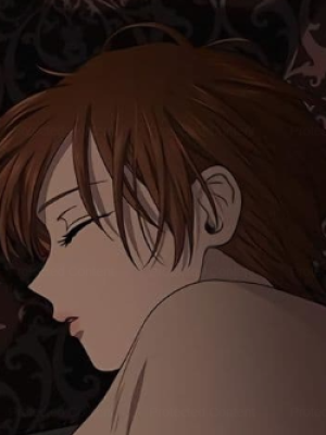 Chapter 95.0