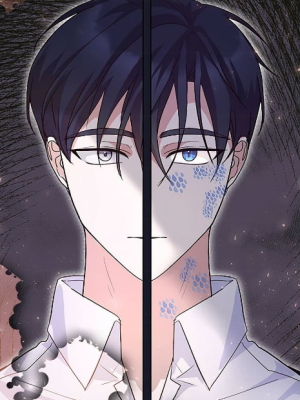 Chapter 48.0