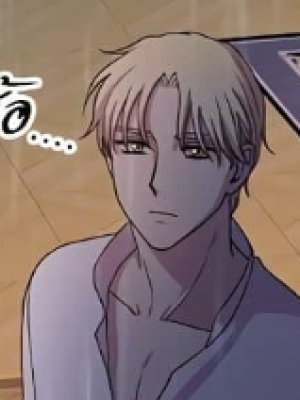 Chapter 110.0