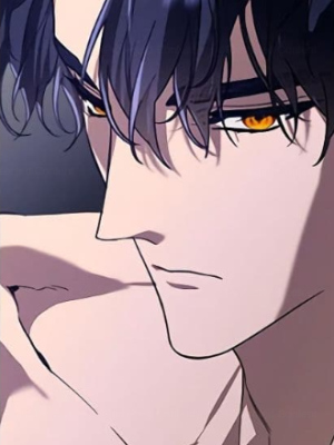 Chapter 48.0