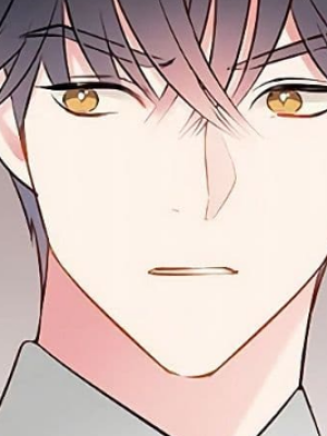 Chapter 29.0