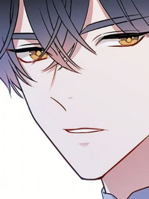 Chapter 68.0