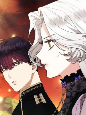 Chapter 48.0