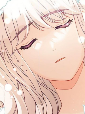 Chapter 48.0