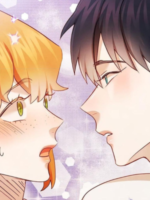 Chapter 40.0