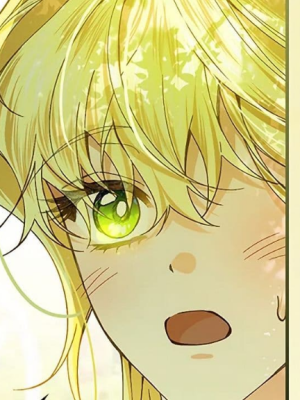 Chapter 52.0