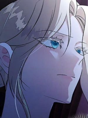 Chapter 217.0