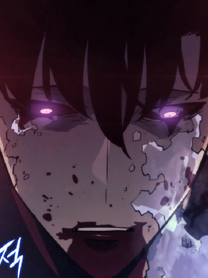 Chapter 161.0