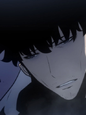 Chapter 166.0