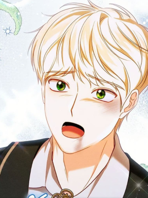 Chapter 50.0