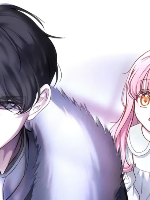 Chapter 50.0