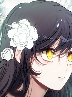 Chapter 24.0