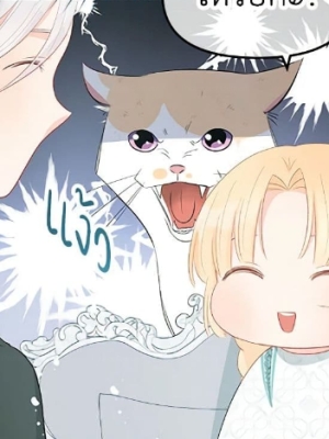 Chapter 48.0