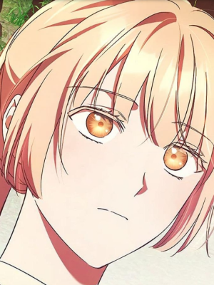 Chapter 41.0