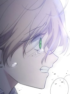 Chapter 17.0
