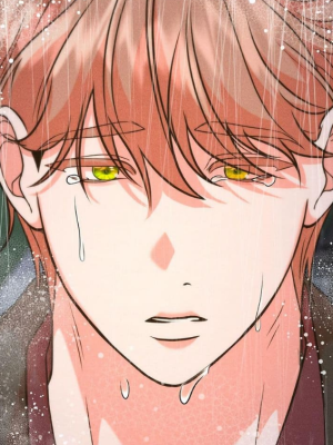 Chapter 29.0