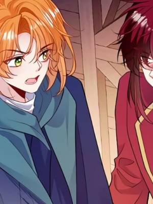 Chapter 49.0