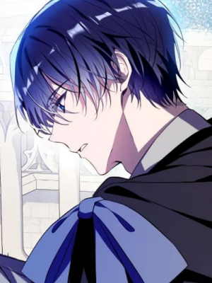 Chapter 119.0