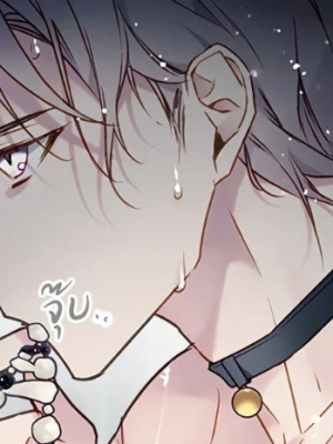 Chapter 93.0