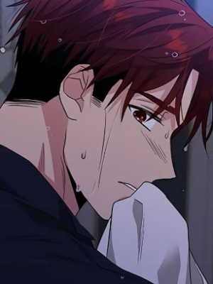 Chapter 95.0