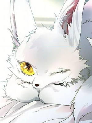 Chapter 24.0