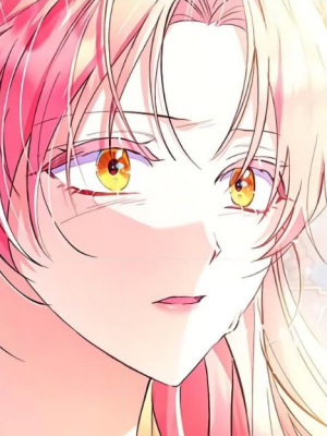 Chapter 40.0