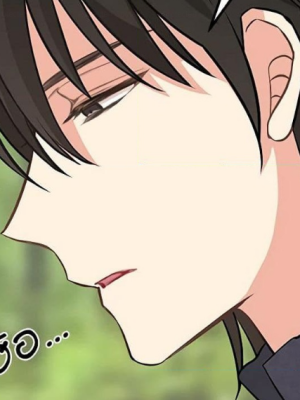 Chapter 79.0