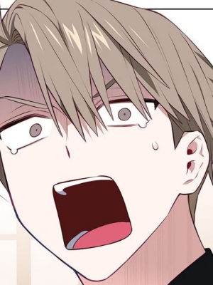 Chapter 44.0