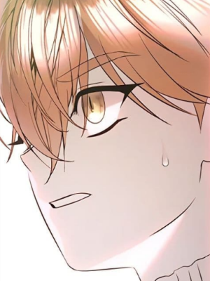 Chapter 42.0