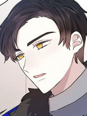 Chapter 85.0