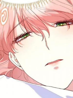 Chapter 85.0