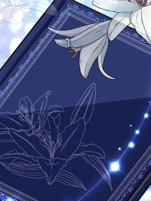 Chapter 24.0