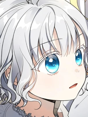 Chapter 24.0