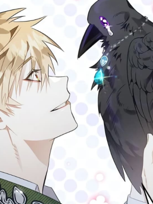 Chapter 95.0