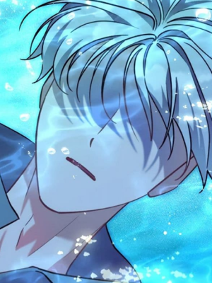 Chapter 79.0