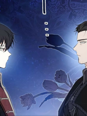 Chapter 161.0